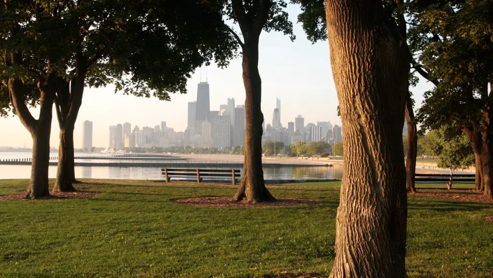Mature trees framing a park lawn and a bench, with the Chicago skyline across the water behind them.